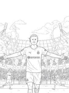 Erling haaland comemorando para imprimir